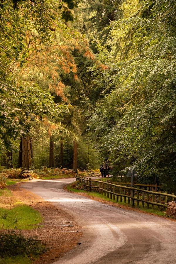 New Park Manor Hotel - A Luxury Family Hotel Brockenhurst Exteriér fotografie