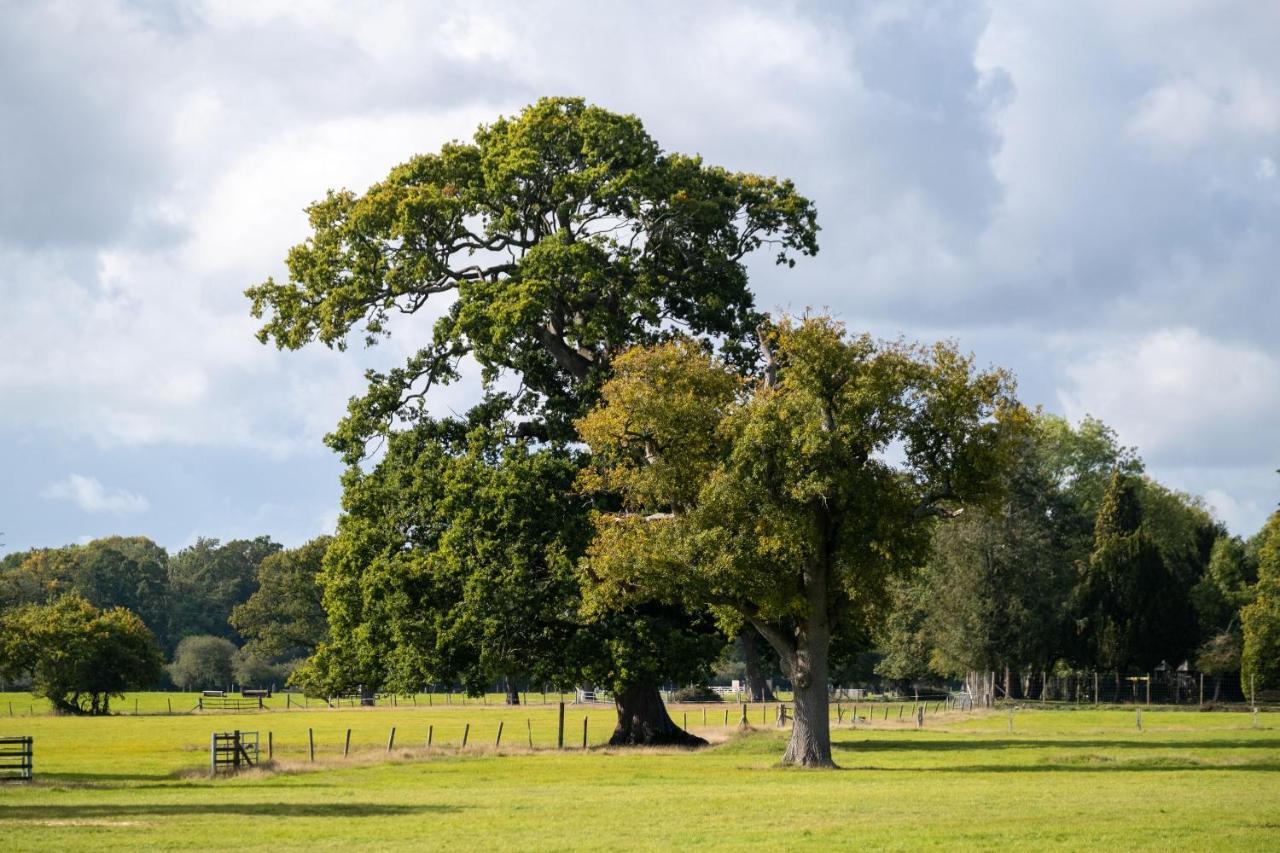 New Park Manor Hotel - A Luxury Family Hotel Brockenhurst Exteriér fotografie