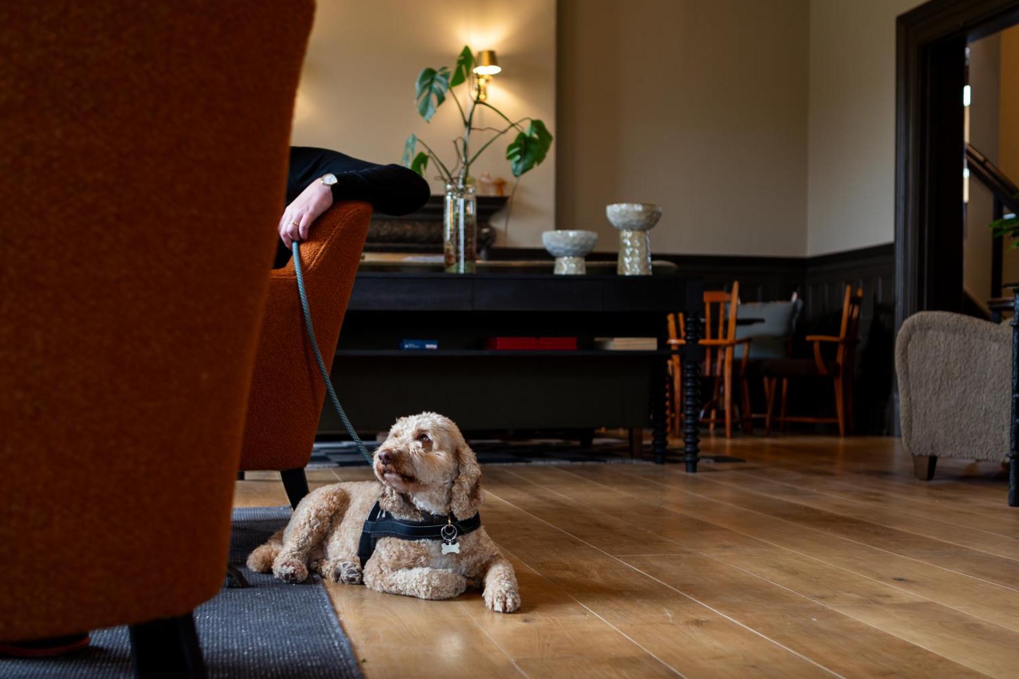 New Park Manor Hotel - A Luxury Family Hotel Brockenhurst Exteriér fotografie
